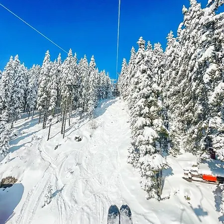 Sunshine Golte Comfort Appartement Mozirje