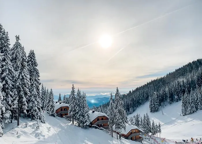 Appartamento Sunshine Golte Comfort Mozirje