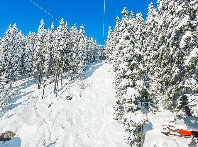 Sunshine Golte Comfort Appartamento Mozirje