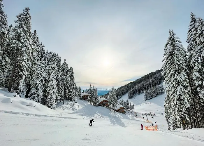 Sunshine Golte Comfort アパート モジリェ